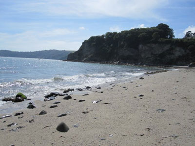 Duporth Beach