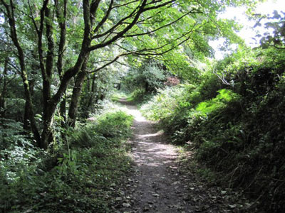 Footpath near Trenarren